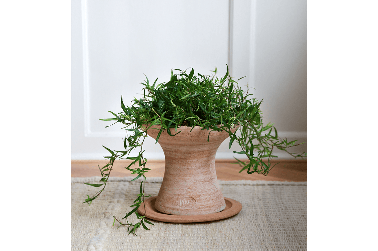 Celeste rosa potte / sidebord