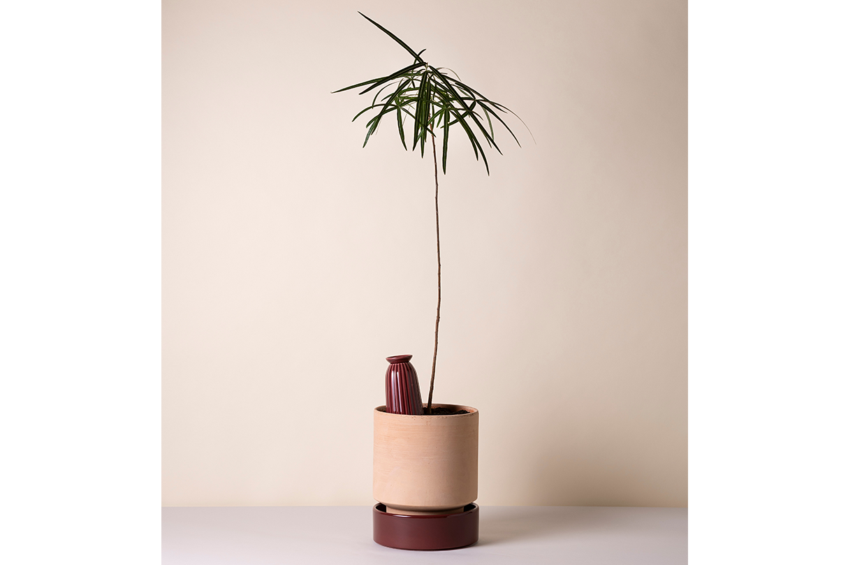 Cove keramisk selvvanding til potter