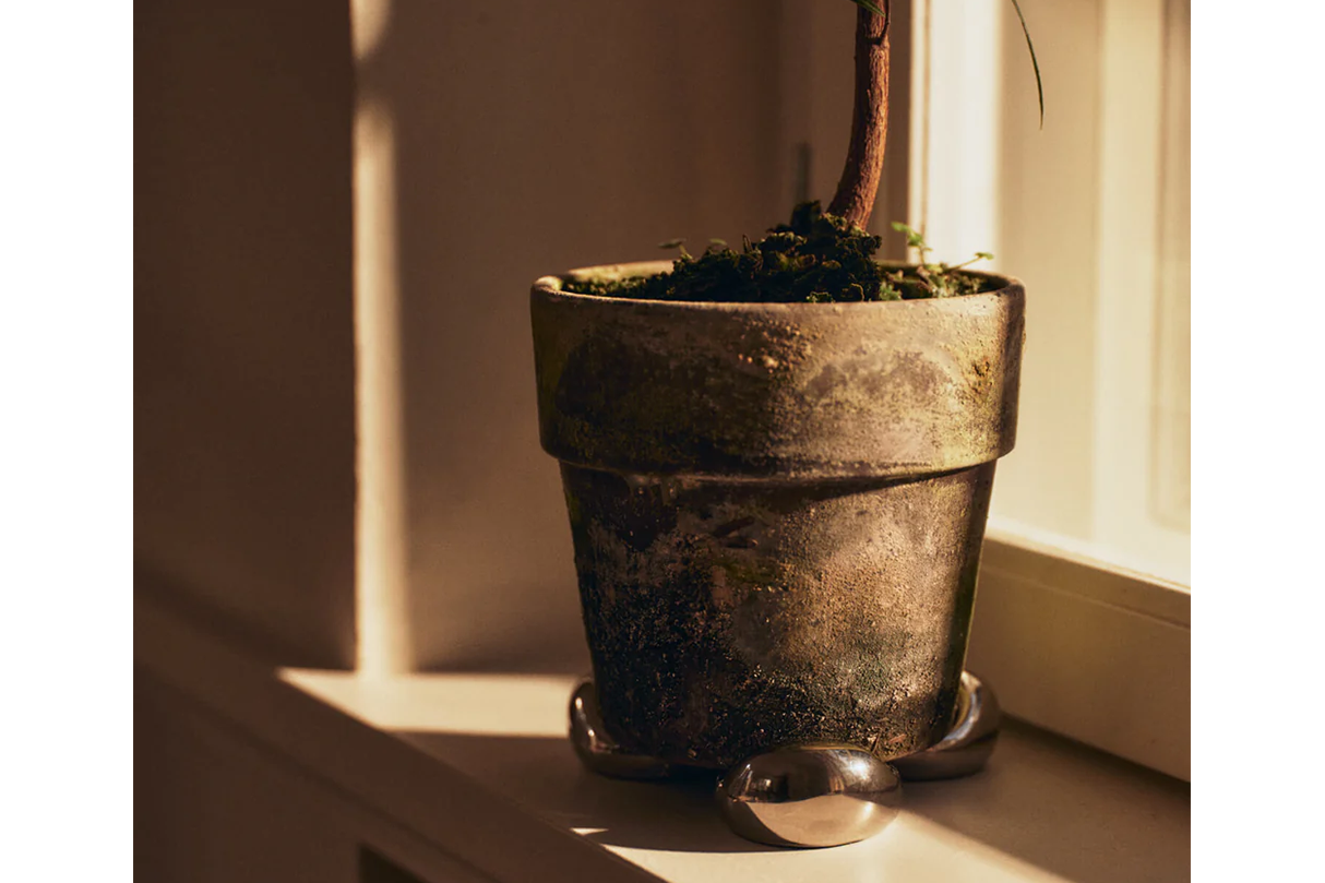 Nube pottefødder