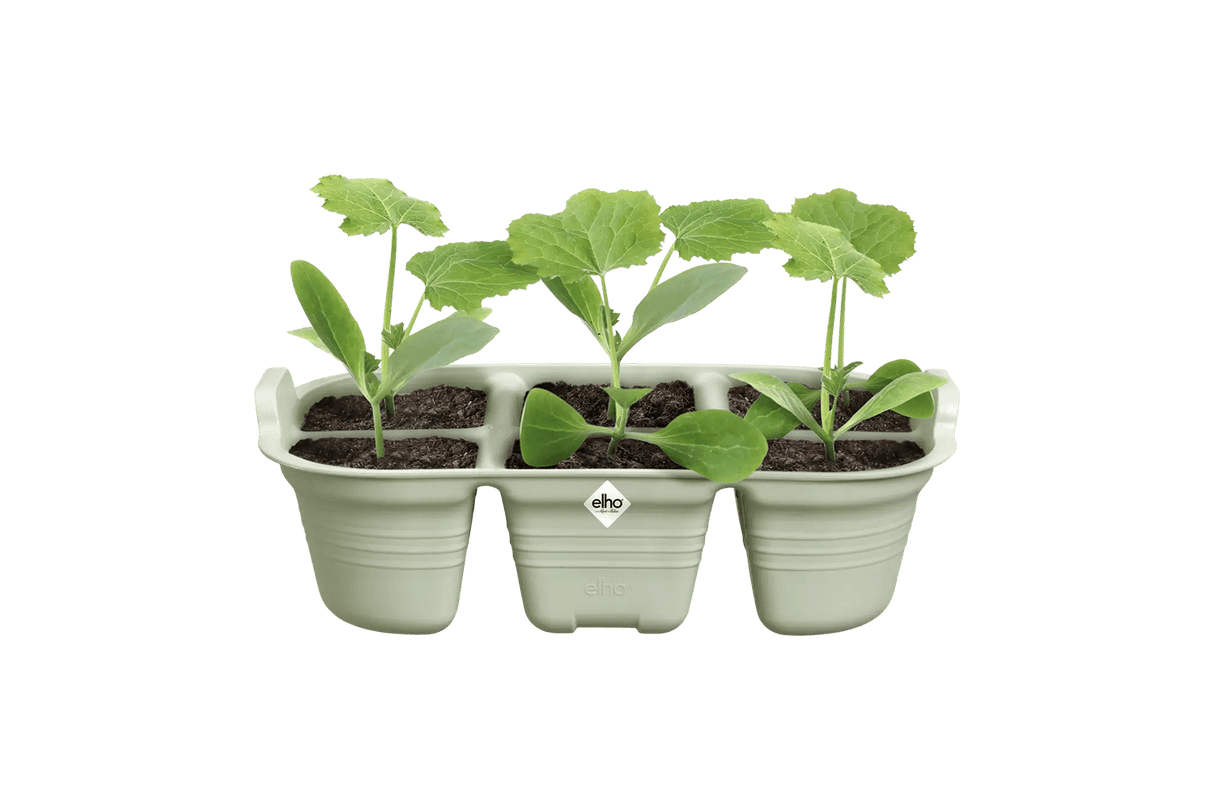 Green basics såbakke