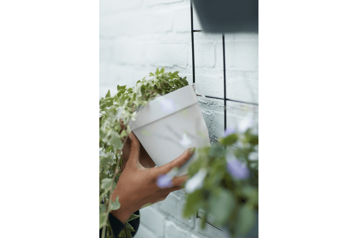 Plantekasse til gitter, green wall