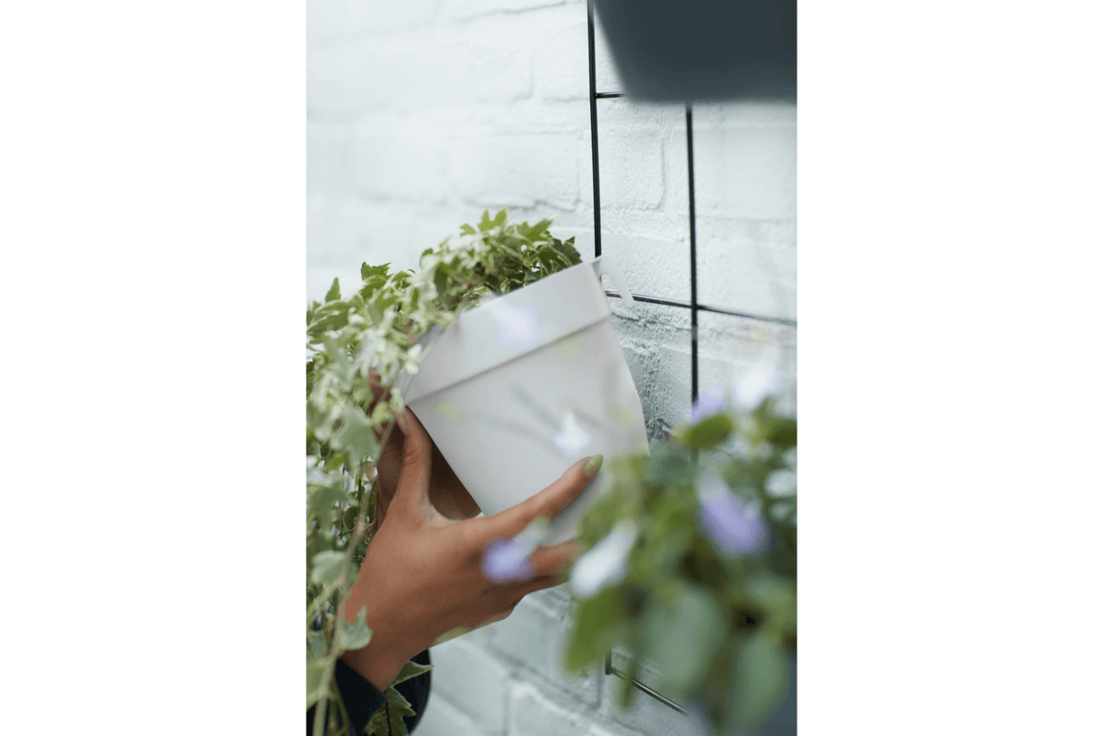 Potte til gitter, green wall