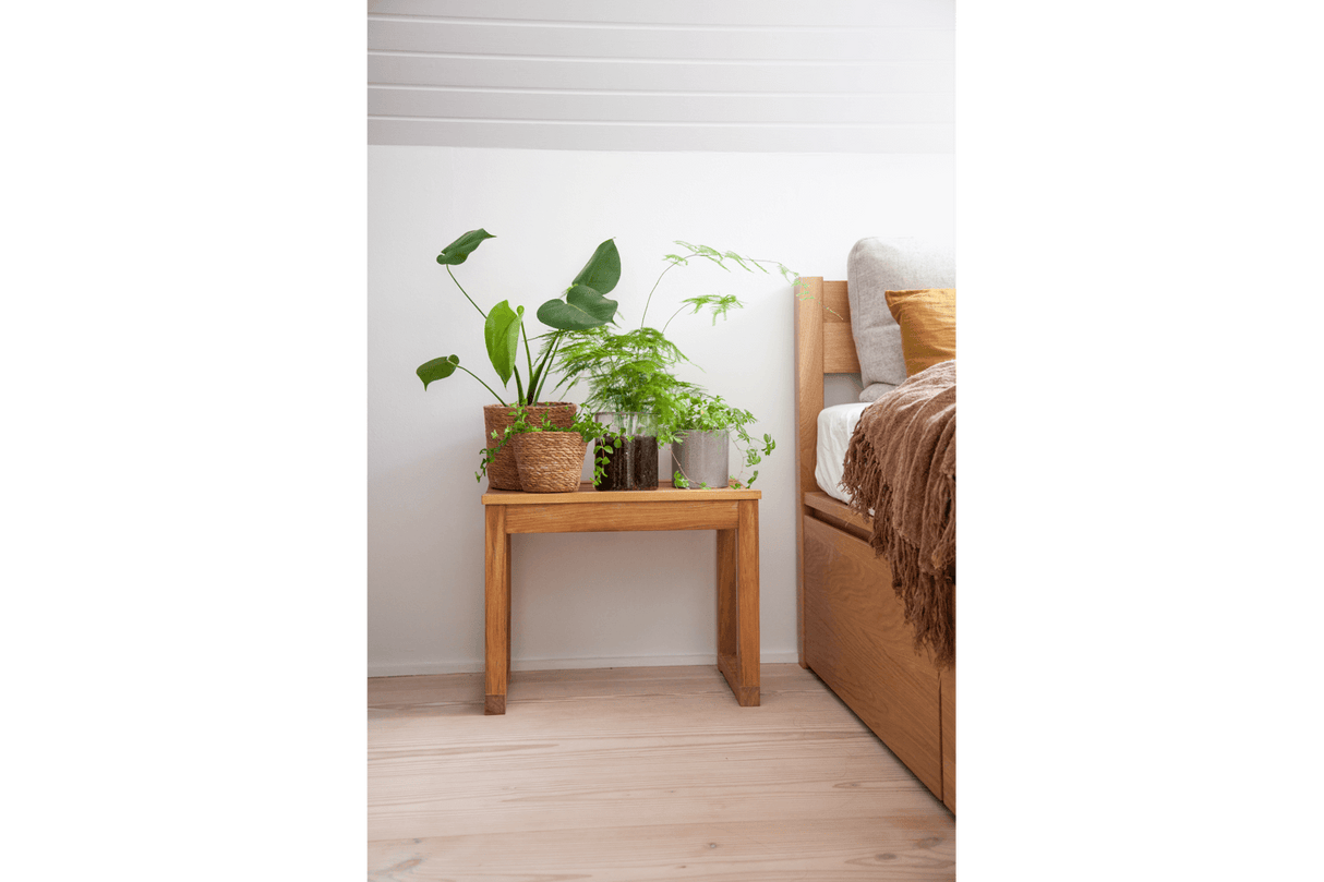 Vega skammel 55 x 40 cm