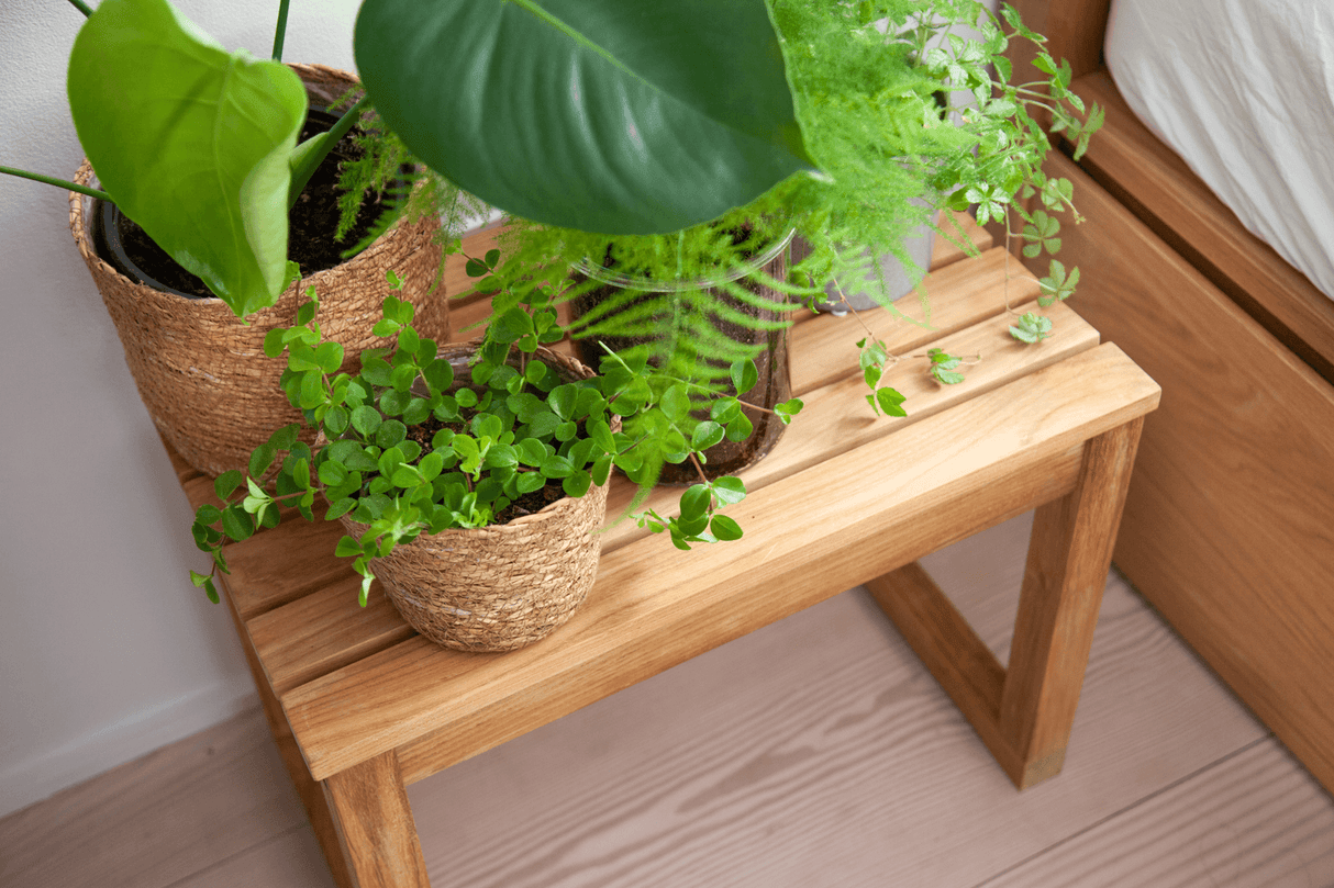 Vega skammel 55 x 40 cm