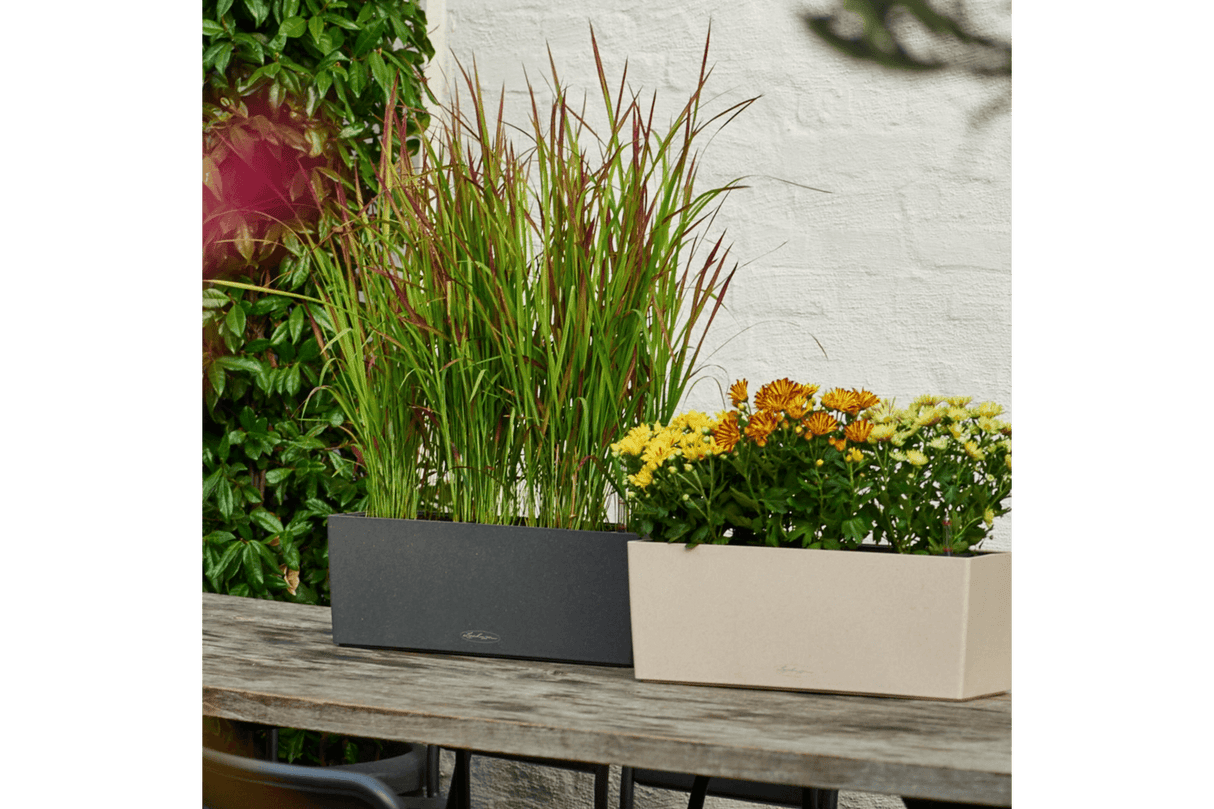 Stone altankasse med selvvanding 50 cm