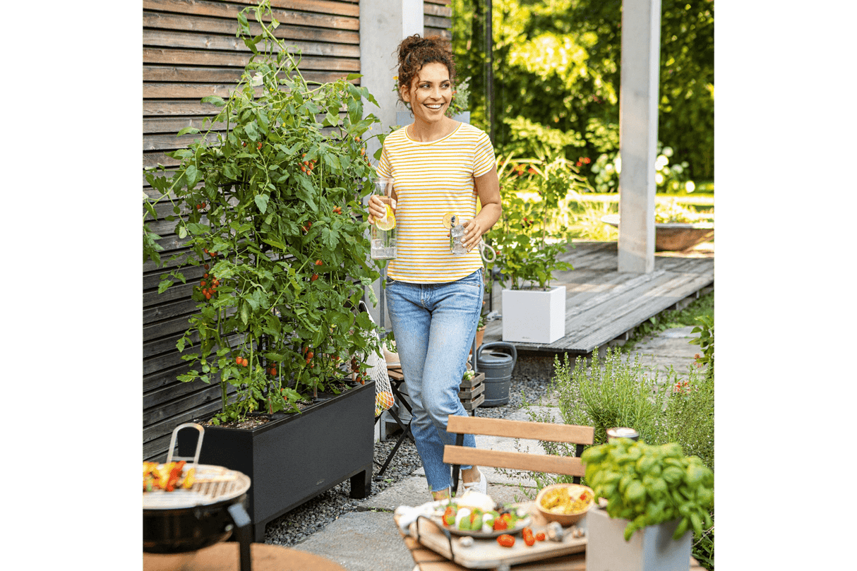 Espalier til Trio stone plantekasse