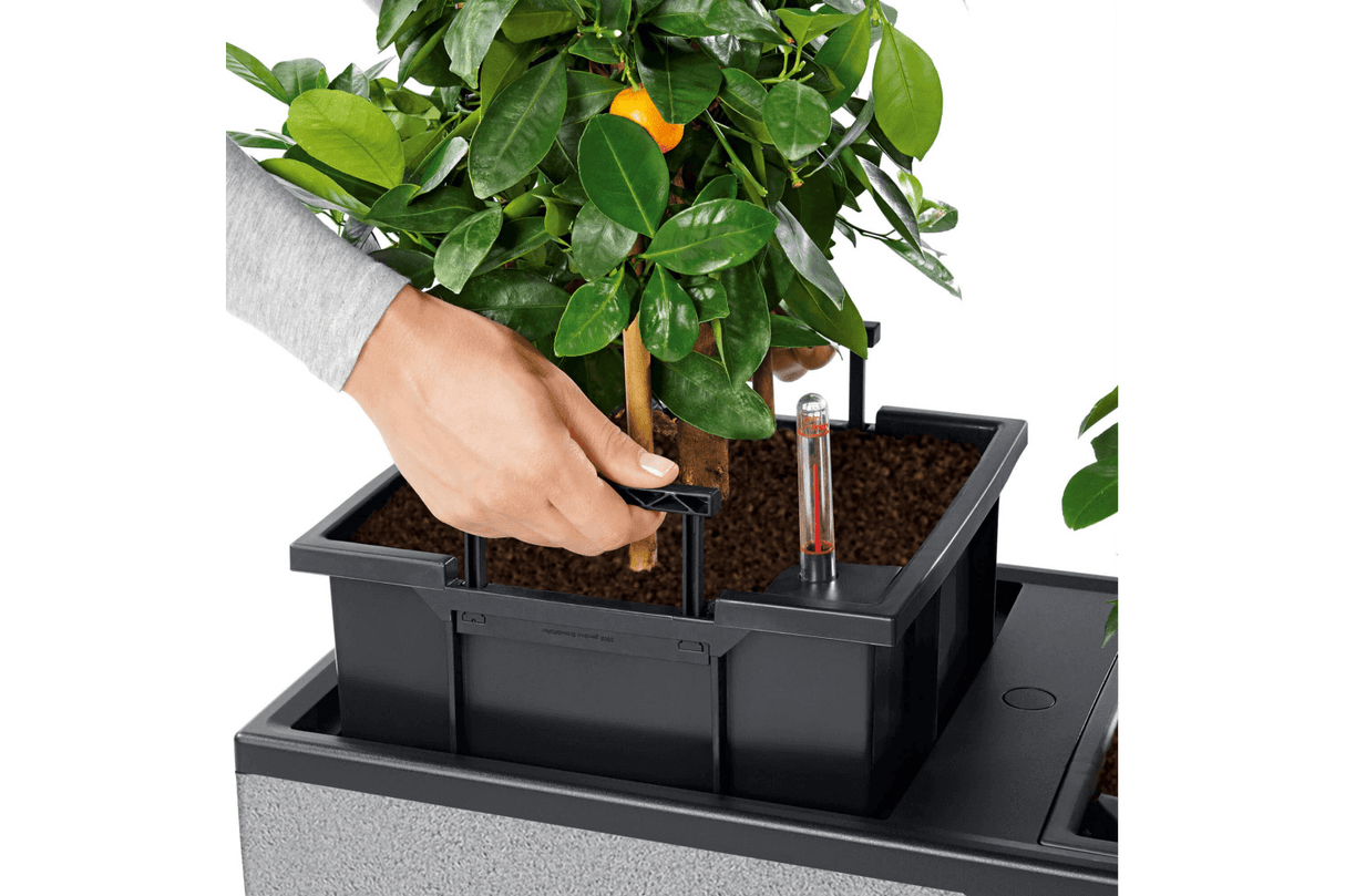 Trio stone afskærmnings plantekasse 100 cm