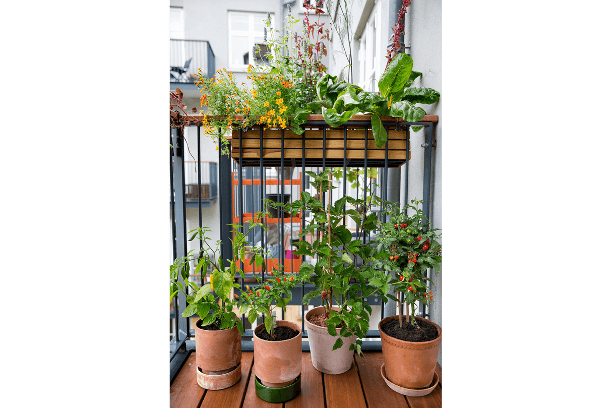 Maja teak altankasse 40 / 60 / 80 cm