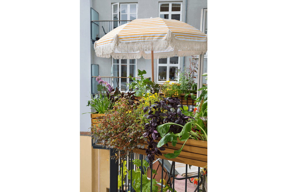 Maja teak altankasse 40 / 60 / 80 cm