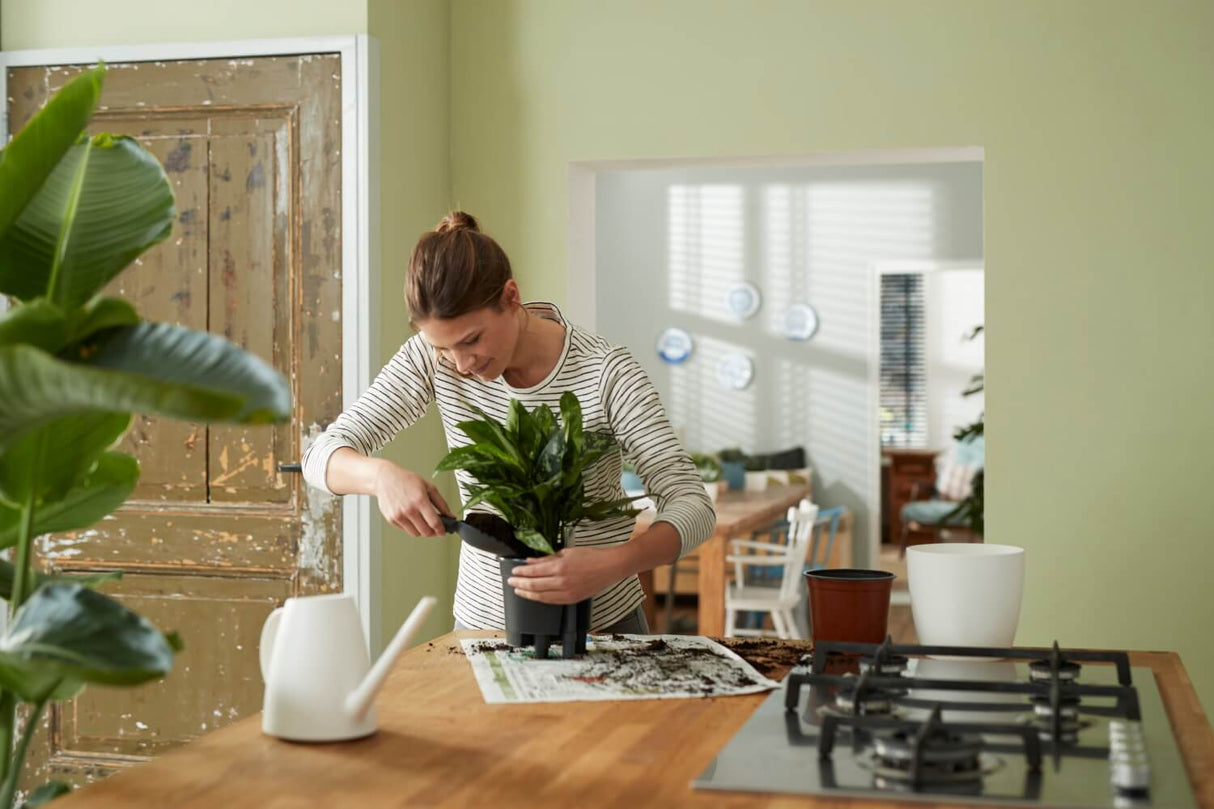 Selvvandings potte Ø24 cm