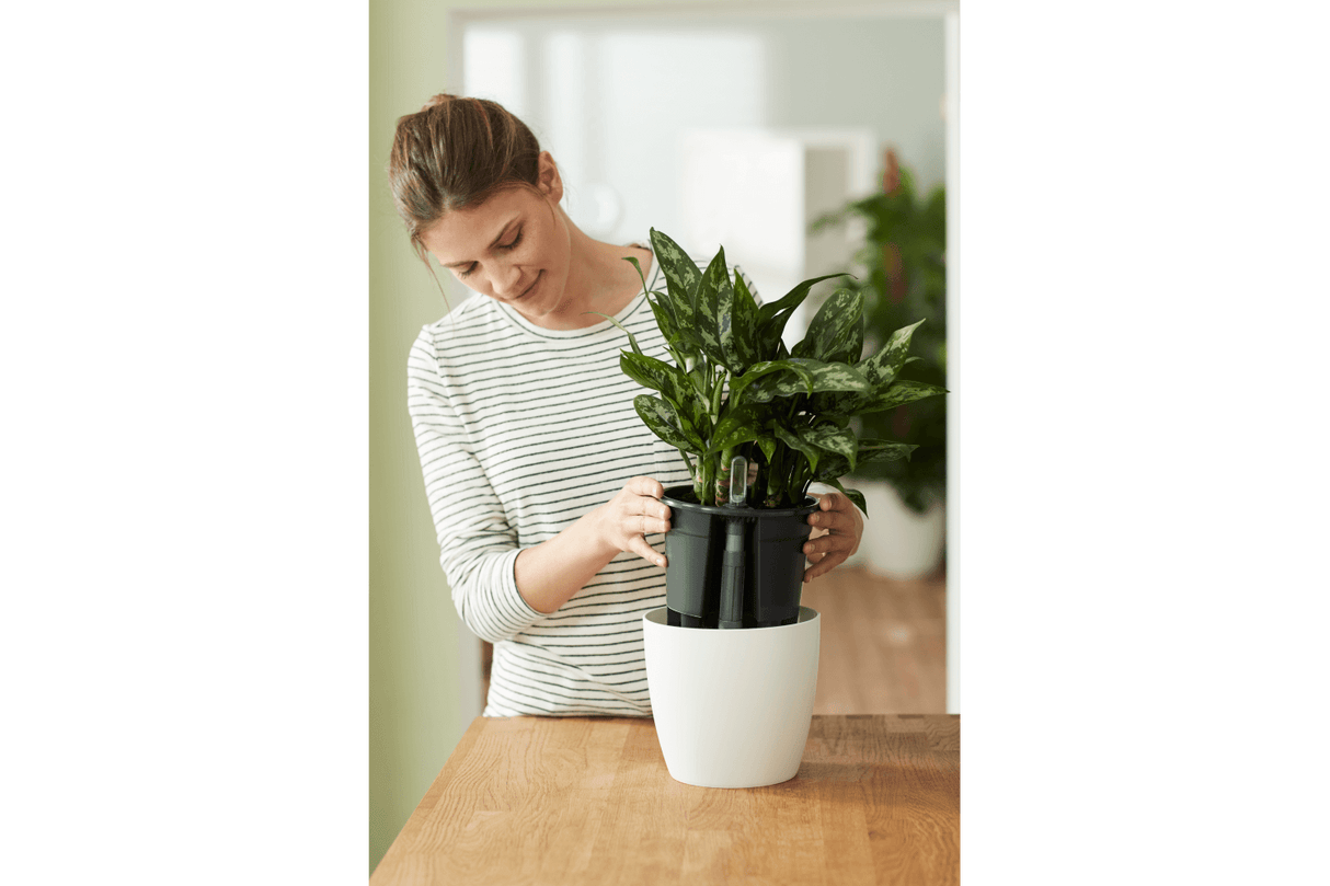 Selvvandings potte Ø24 cm