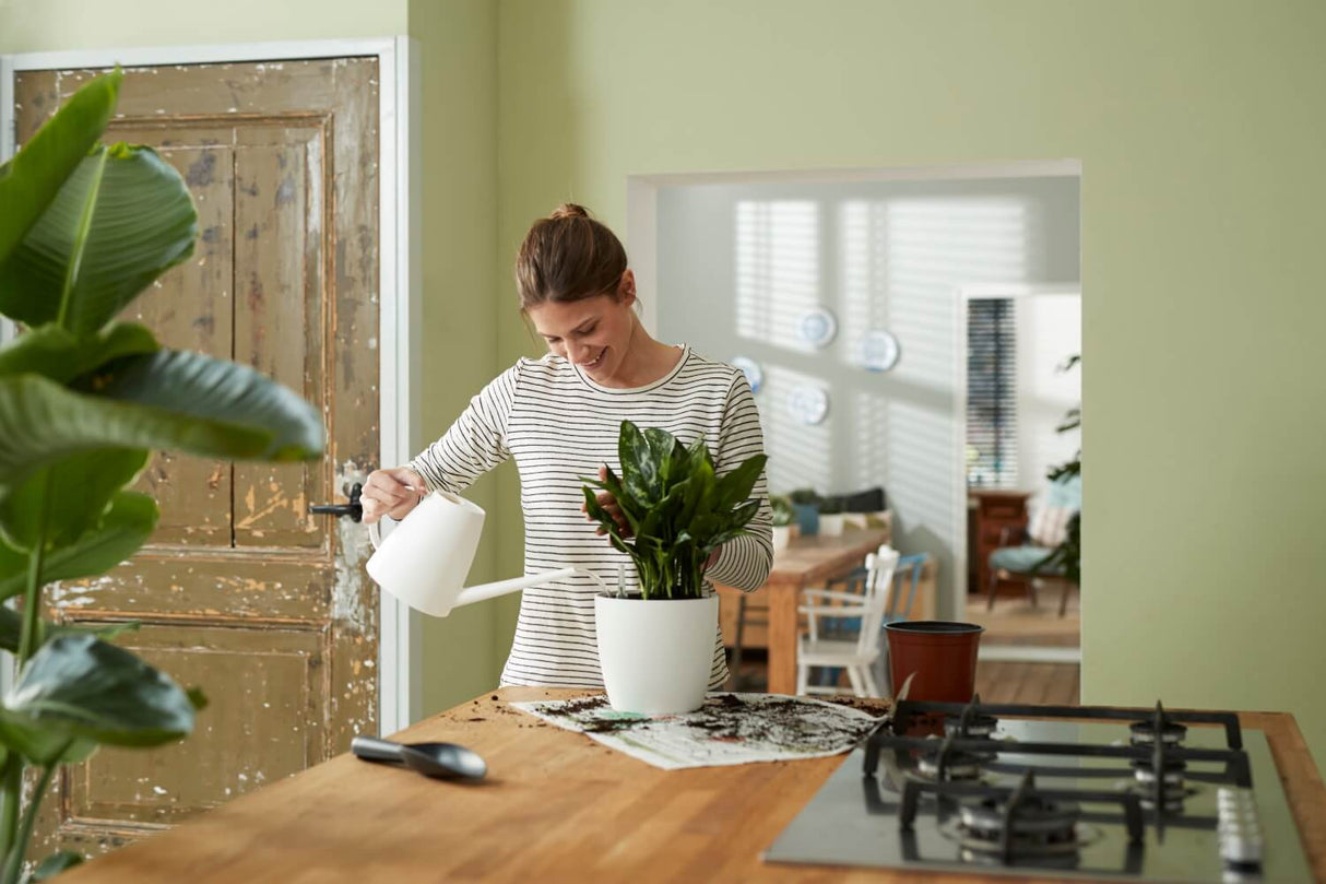 Selvvandings potte Ø24 cm