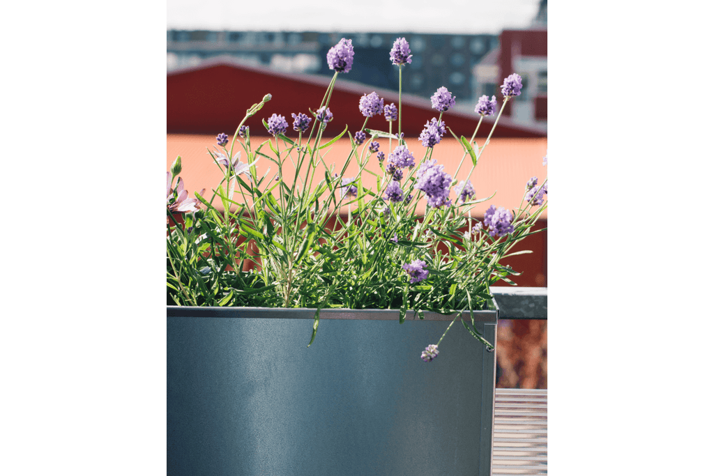 sofie altankasse-zink-med lavendel
