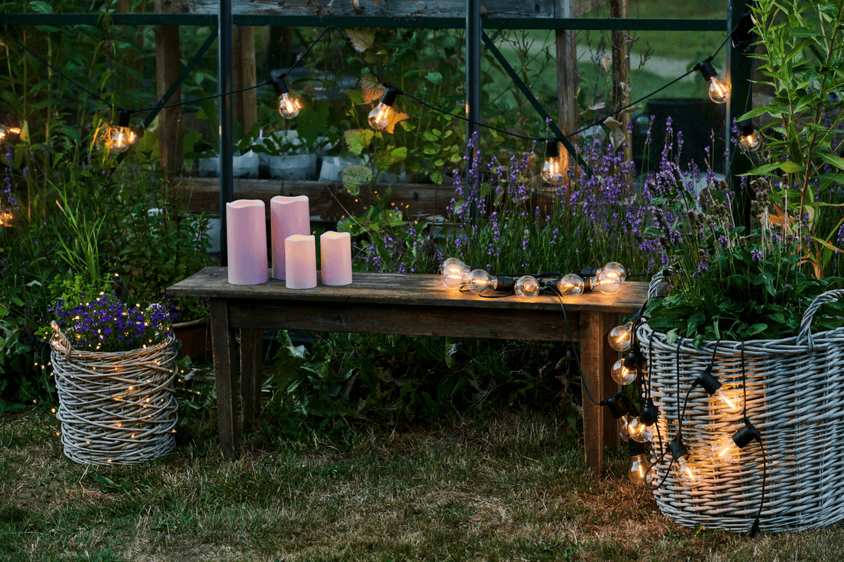 Tobias startsæt 10 klare pærer