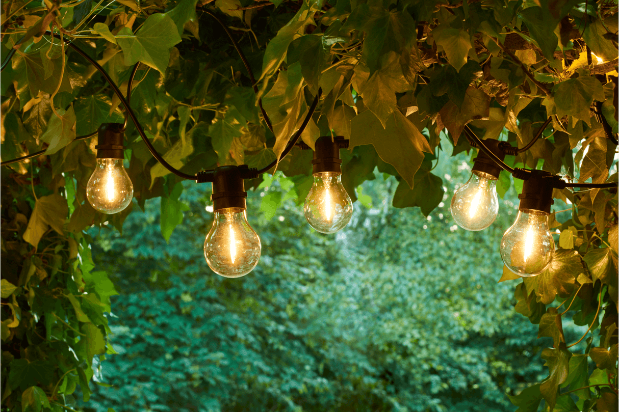 Tobias suppleringssæt 10 klare pærer