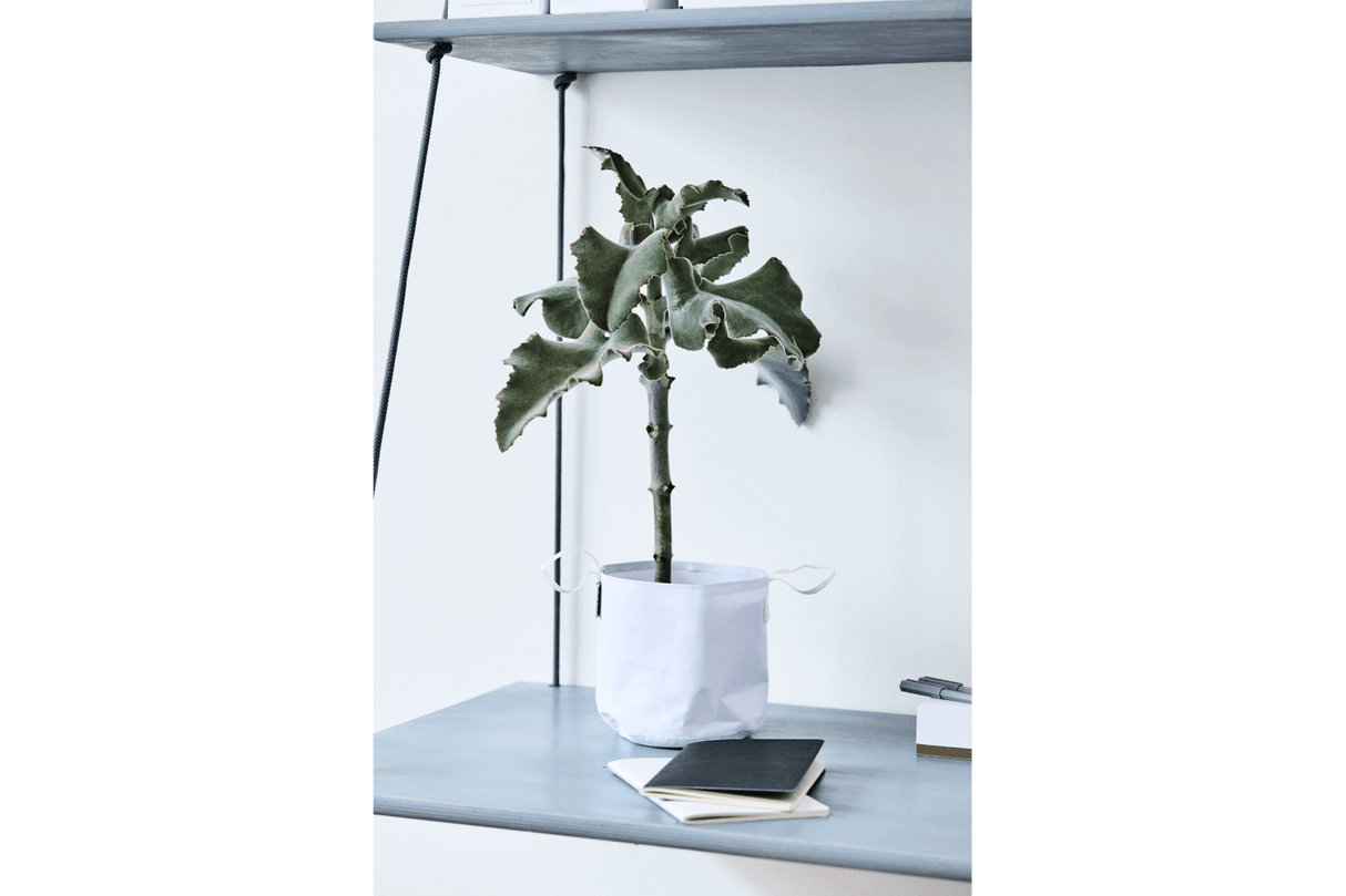 Vertikal blomsterophæng til væg og loft