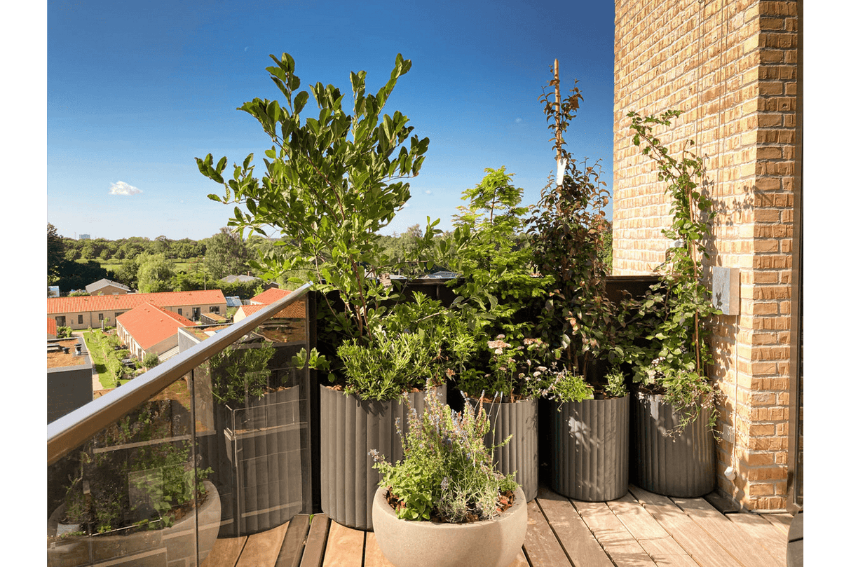 Klimakrukken Ø38 / Ø58 cm