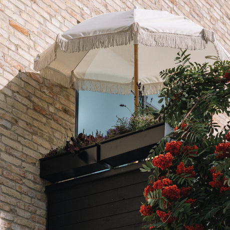 Hvad kan jeg plante, hvis min altan ligger i skygge det meste af dagen?