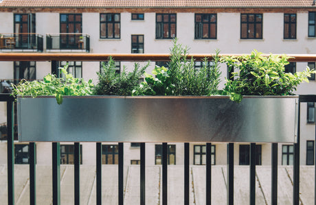 Tyvstart altankasse sæsonen