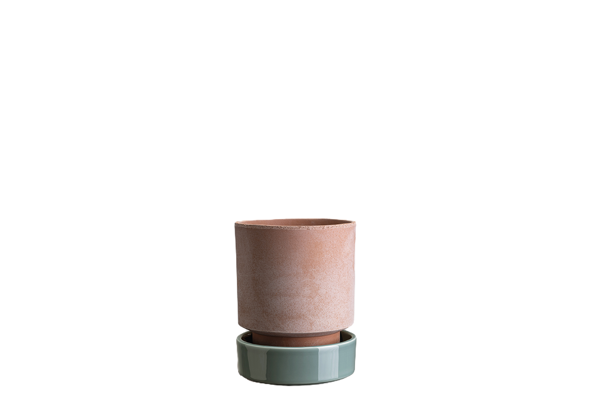 Hoff Rosa/Misty Blue Ø14 set