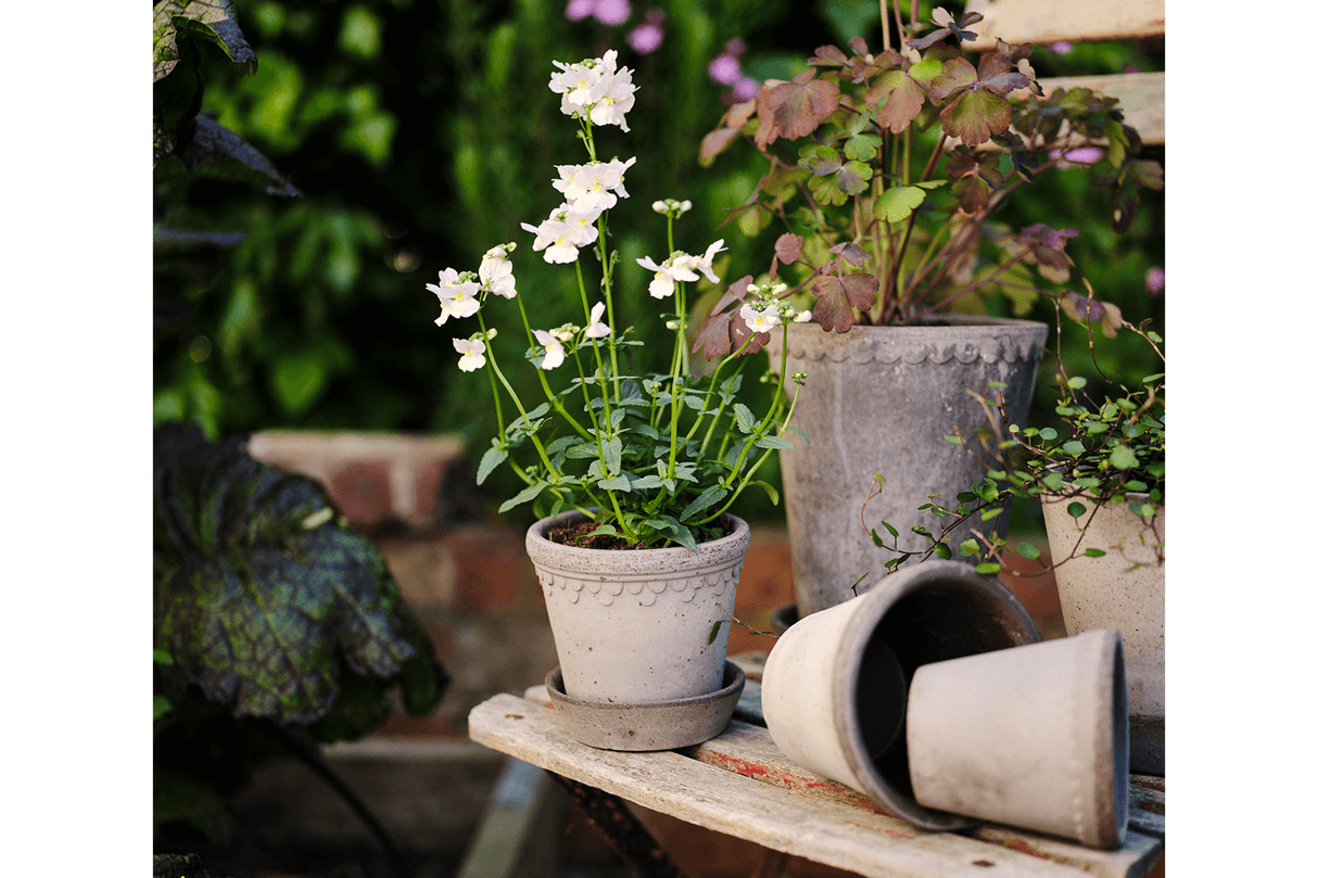 Københavner raw grey set Ø10 / Ø14 / Ø18 cm