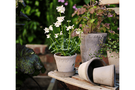 Københavner raw grey set Ø10 / Ø14 / Ø18 cm