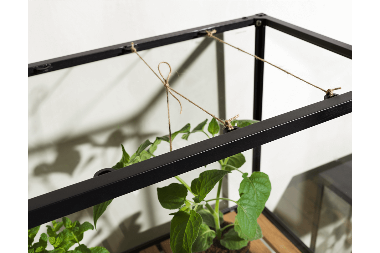 Grower Greens Tall Minidrivhus