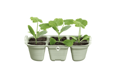 Green basics såbakke