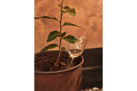 Mercury selvvanding til potter