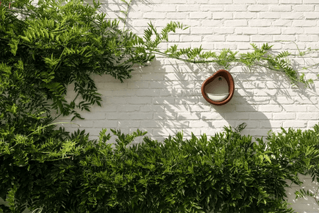 Økologisk fuglefoderhus