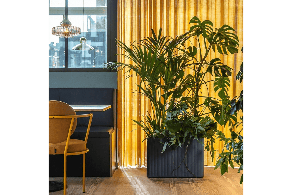 Klimakasse midi 58 x 40 x 28 cm