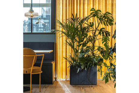 Klimakasse midi 58 x 40 x 28 cm