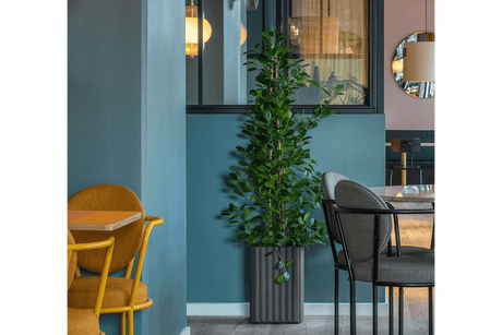 Klimakasse mini 28 x 40 cm