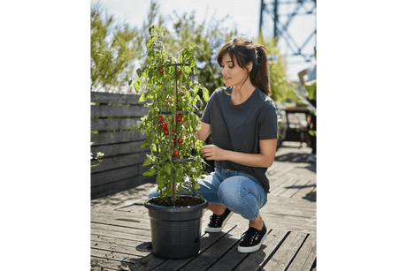 Green basics tomatpotte Ø33,5 cm