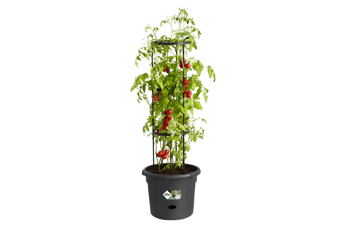 Green basics tomatpotte Ø33,5 cm