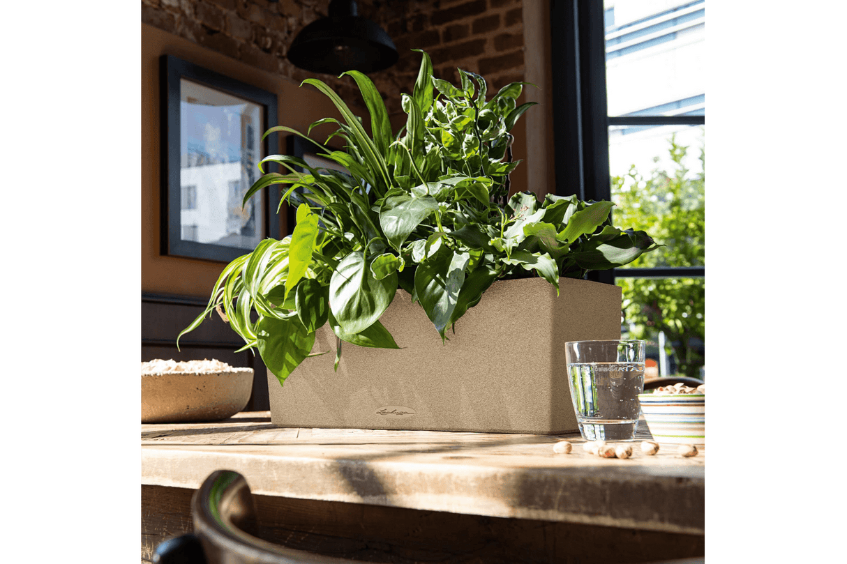 Stone altankasse med selvvanding 50 cm