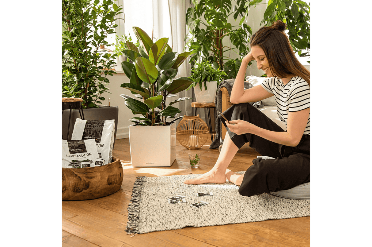 Lechuza pon 3 L / 6 L