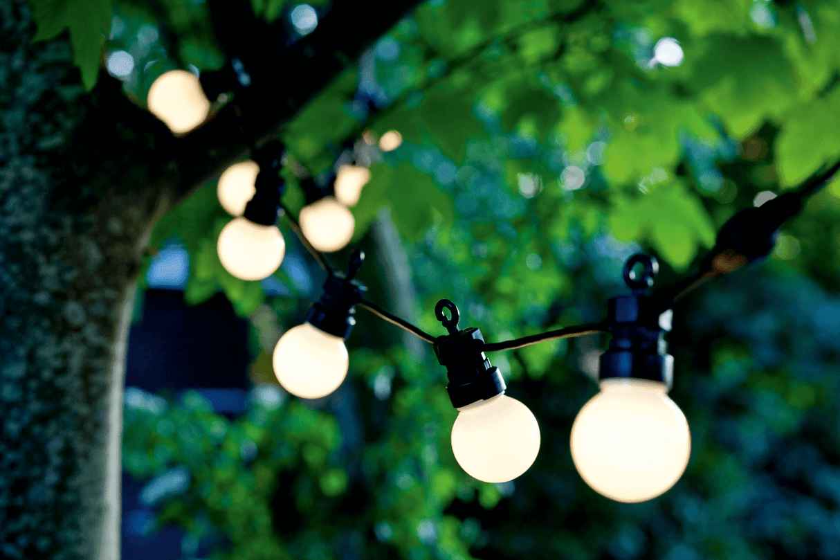 Lucas startsæt 10 matte pærer