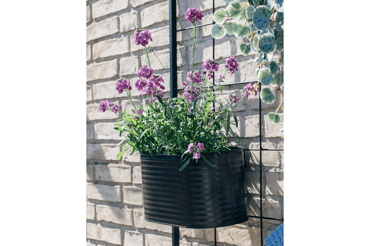 Ovalina Rillo sort plantekasse til gitter 30 x 17 cm