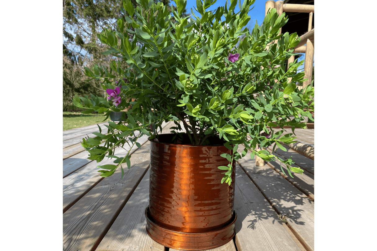 Rita Rillo potte Ø17 cm