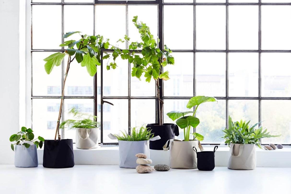 Vertikal blomsterophæng til væg og loft