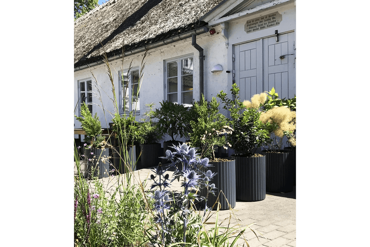 Klimakrukken Ø38 / Ø58 cm